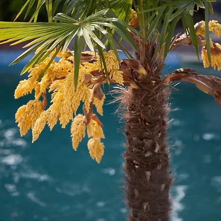 Апарт-отель Aristides *